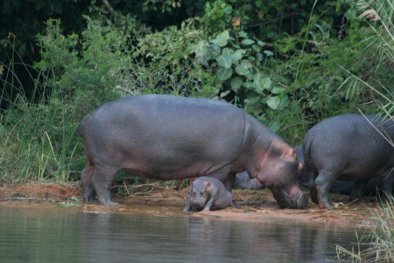 4 The Bridge Διαμέρισμα Saint Lucia Estuary Εξωτερικό φωτογραφία