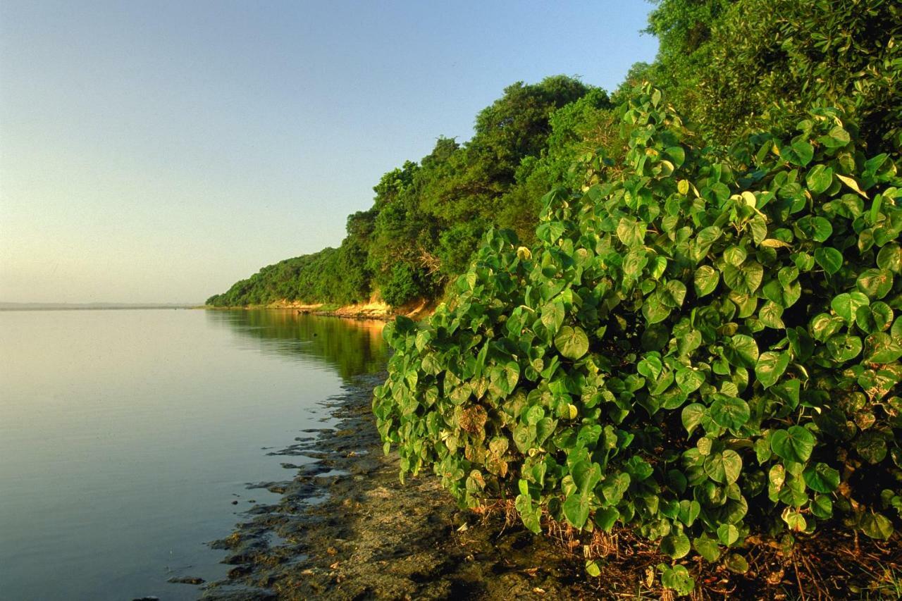 4 The Bridge Διαμέρισμα Saint Lucia Estuary Εξωτερικό φωτογραφία