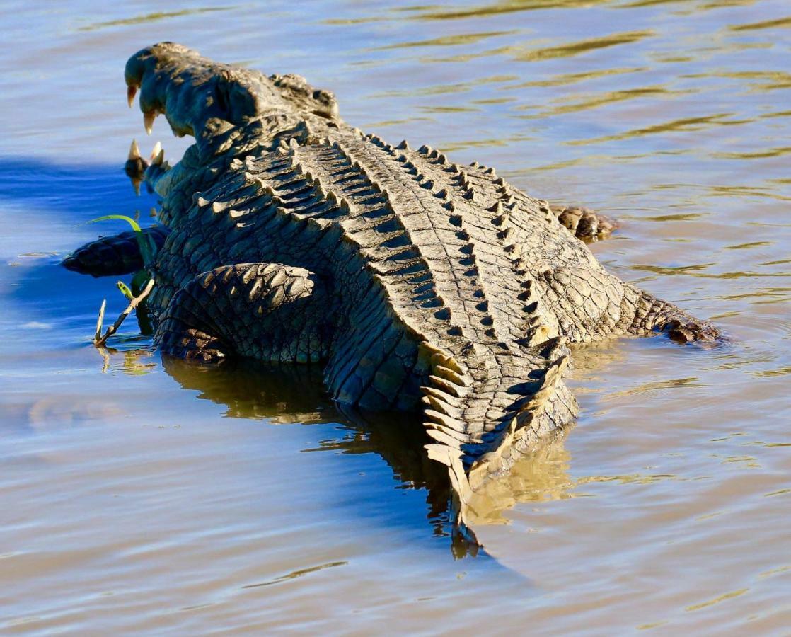 4 The Bridge Διαμέρισμα Saint Lucia Estuary Εξωτερικό φωτογραφία